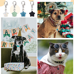 16шт 4 цвета звезда кулон драгоценный камень украшения&nbsp;HJEW-CA0001-22