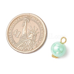 Непрозрачные акриловые подвески&nbsp;PALLOY-JF03929-02