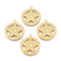 Placcatura ionica (ip) 201 pendenti in acciaio inossidabile&nbsp;STAS-N098-076LG