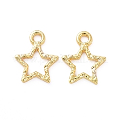 Подвески на лицевой панели из сплава цинка PALLOY-E577-07G