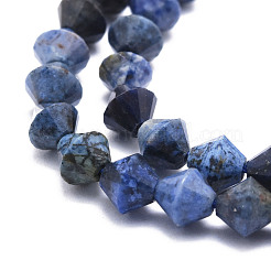 Perline sodalite naturale fili&nbsp;G-E569-D07