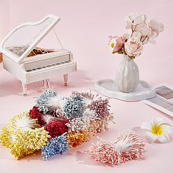 11 paquet de gypse bicolore avec cordon en coton pour le cœur de la fleur artificielle&nbsp;DIY-GF0014-55