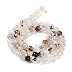 Нити из натурального дендритного агата&nbsp;G-D845-04-10mm