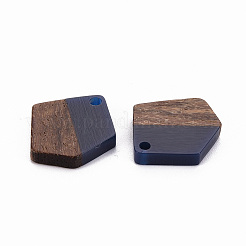 Pendenti in resina trasparente e legno di noce&nbsp;RESI-S384-003A-A04