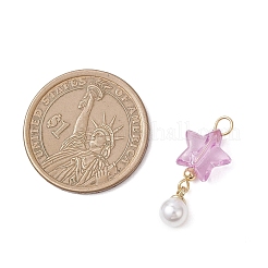 Прозрачные акриловые подвески&nbsp;PALLOY-JF04765