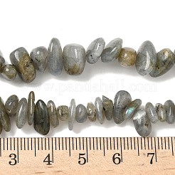 Природные лабрадорита бисер нитей G-I225-15A