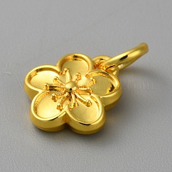 Pendentifs en alliage&nbsp;LS-FIND-WH0159-63G-14