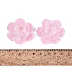 Capuchons de perles en acrylique thermorétractables&nbsp;OACR-N164-04C