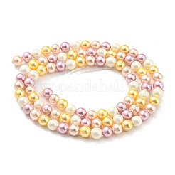 Fili di perle di conchiglie galvanizzate&nbsp;SHEL-F008-03A-05
