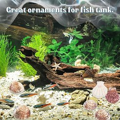 100 г 2 вида бусин в виде ракушек SSHEL-YW0001-08