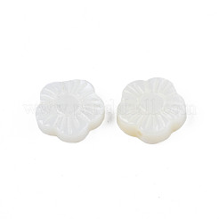 Бусины из натуральных пресноводных ракушек SHEL-N026-184