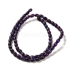 Синтетический регалит / имперская яшма / морские отложения G-F765-J02-01