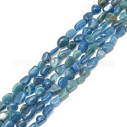 Chapelets de perles en apatite naturelle, pierre roulée, pépites, 4~15x4~8x3~7mm, Trou: 1mm, Environ 40~70 pcs/chapelet, 15.7 pouce