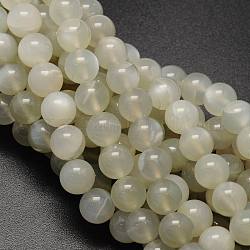 Round Natural White Moonstone Bead Strands, Grade A, 10mm, Hole: 1mm, about 39pcs/strand, 15.74 inch
