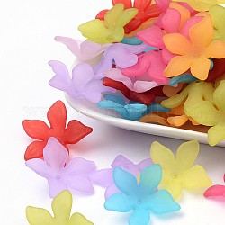 Translucent Acrylic Beads, Frosted, Flower Bead Caps, for Necklace Earring Jewelry Making, Mixed Color, 29x27x8mm, Hole: 2mm, about 515pcs/500g
