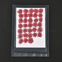 Pressed Dried Flowers, for Cellphone, Photo Frame, Scrapbooking DIY Handmade Craft, FireBrick, 15~20x13~19mm, 100pcs/bag