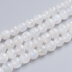 Brins de perles de pierre de lune arc-en-ciel naturel, AA grade, ronde, blanc, 6mm, Trou: 1mm, Environ 62 pcs/chapelet, 15.5 pouce