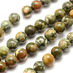 Rhyolite naturelle brins de perles de jaspe, ronde, 6mm, Trou: 1mm, Environ 61 pcs/chapelet, 15.7 pouce (40 cm)
