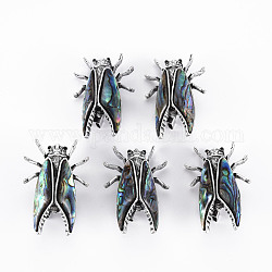 Cicada Shape Natural Abalone Shell/Paua Shell Brooch Pin, Alloy with Rhinestone Lapel Pin for Backpack Clothing, Lead Free & Cadmium Free, Antique Silver, Colorful, 41x27x15~17mm, Hole: 5x3mm, Pin: 0.7mm