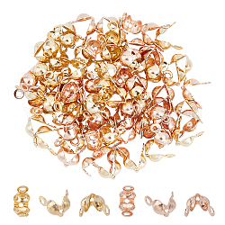 Unicraftale 304 Stainless Steel Bead Tips, Calotte Ends, Clamshell Knot Cover, Golden & Rose Gold, 7.5x4x3.5mm, Hole: 1.5mm, Inner Diameter: 3.5mm, 80pcs/box