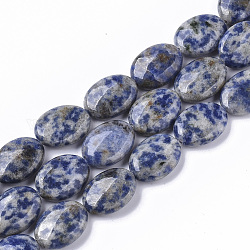 Fili di perle di diaspro macchia blu naturale, ovale, 18x13.5x6~7mm, Foro: 1.2 mm, circa 20~22pcs/filo, 15.55 pollice (39.5 cm)