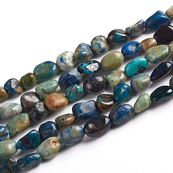 Chapelets de perles en chrysocolle et lapis lazuli naturelles, pierre roulée, pépites, 6.5~9.5x5.5~7.5x3.5~5.5mm, Trou: 0.8mm, Environ 50 pcs/chapelet, 15.67 pouce (39.8 cm)