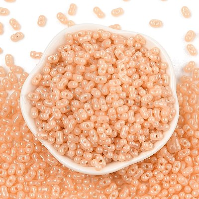 Выпечка краска стеклянные бусины SEED-L011-09A-12-1