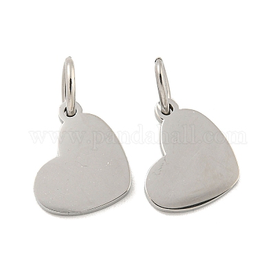 Не тускнеющая нержавеющая сталь 304 штампованные пустые бирки-брелки STAS-P356-14P-1