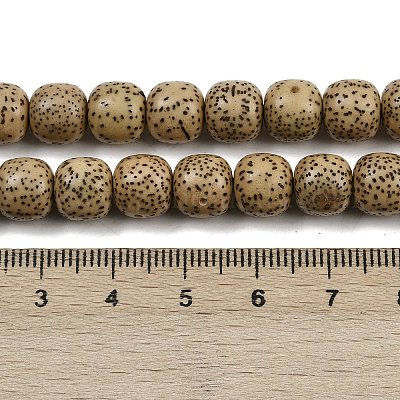 Натуральные бусины из семян рудракши бодхи WOOD-B010-A03-8x9mm-1