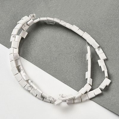 Природные Говлит бисер нитей G-F762-A12-01-1