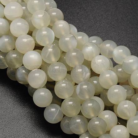 Fili di perline rotonde in pietra di luna bianca naturale G-L425-22-10mm-1