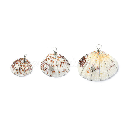 Natural Clam Shell Copper Wire Wrapped Pendants PALLOY-JF02056-01-1