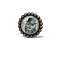 Flat Round Glass Drawer Knobs, with Alloy, Cabinet Pulls Handles, Doorknob Accessories, Owl, 42x35mm