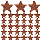 60Pcs Iron Pendants, Rusting, Star, Coconut Brown, 25.4mm