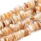 Natural Shell Beads Strands, Nuggets Chips, Lemon Chiffon, 5~13.5x5~8x1.5~6.5mm, Hole: 1mm, about 282pcs/strand, 31.30 inch(79.5cm)