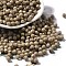 Picasso Baking Paint Glass Seed Beads, Bicone, Dark Khaki, 4.5x4mm, Hole: 1.1mm, about 142pcs/10g