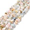 Natural Morganite Beads Strands, Chips, 6~14x4~7x2~6.5, Hole: 1mm, 16.02 inch(40.7cm)