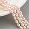 Natural Cultured Freshwater Pearl Beads Strands, Rice, Grade 5A, PeachPuff, 4~5mm, Hole: 0.6mm, about 26~27pcs/strand, 7.09''~7.28''(18~18.5cm)