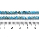 Chapelets de perles en apatite naturelle G-J400-E01-01-5