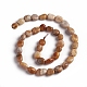 Natural Fossil Coral Beads Strands X-G-D0002-D78-2