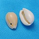 Natürliche Kaurimuschel Perlen X-BSHE-S055-2