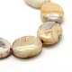 Oval Natural Picture Jasper Beads Strands G-P063-129-3