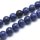 Natural Sodalite Beads Strands G-J313-06-10mm-1