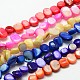 Dyed Natural Freshwater Shell Beads Strands SHEL-J003-M-1