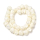 Fili di perle di conchiglia trochid naturale / trochus SHEL-F007-01-2