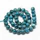 Natural Apatite Beads Strands G-R446-10mm-11-2