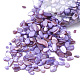 シェルビーズ  穴がないビーズ  染め  チップ  紫色のメディア  1~15x1~15x0.5~5ミリ。約450グラム/袋 SHEL-R020-05-1