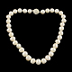 Eleganti collane di perline perla rotonda NJEW-Q282-19S-1