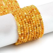 Нити бусин из натуральной желтой ракушки BSHE-G036-09A