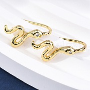 Серьги-подвески из латуни с микропаве из кубического циркония EJEW-G425-04G-01